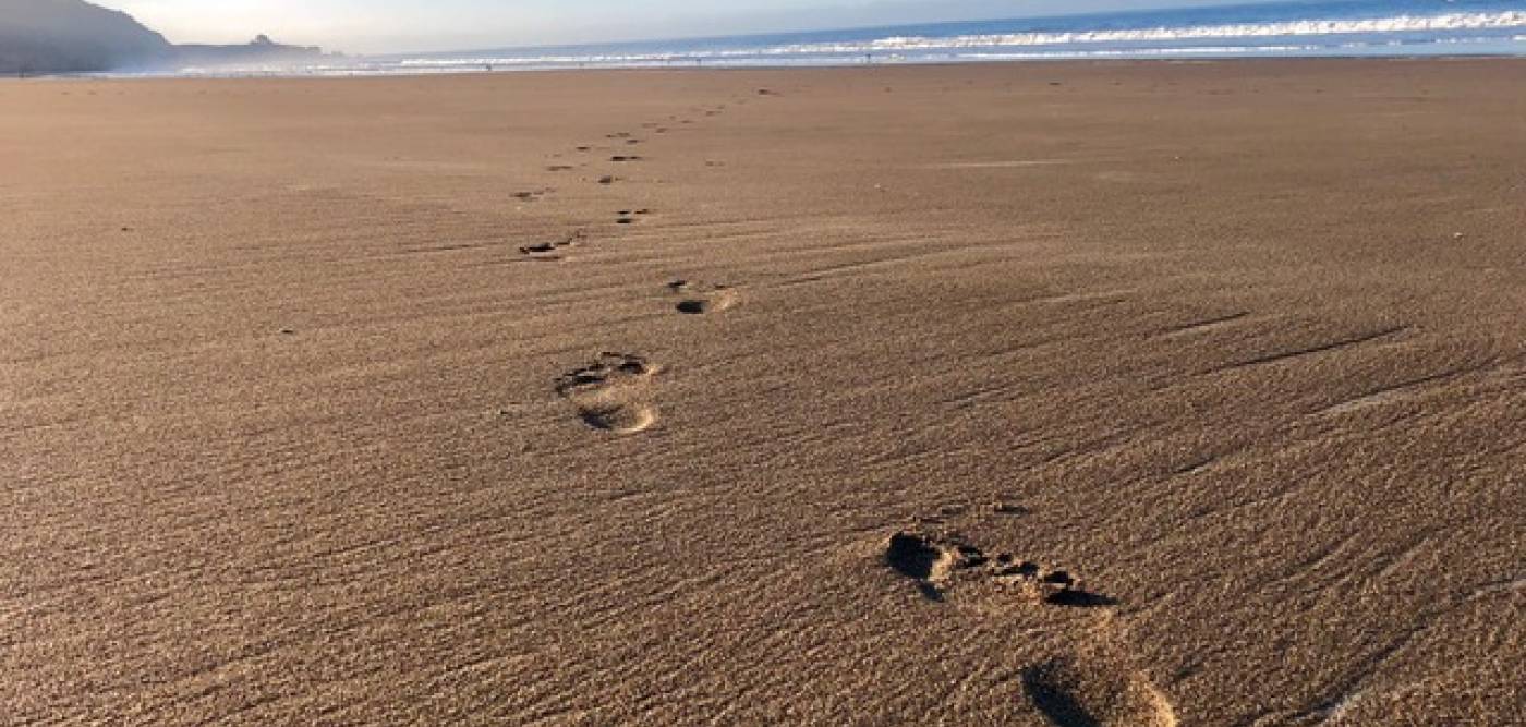 Highway One Properties Stinson Beach Vacation Rentals