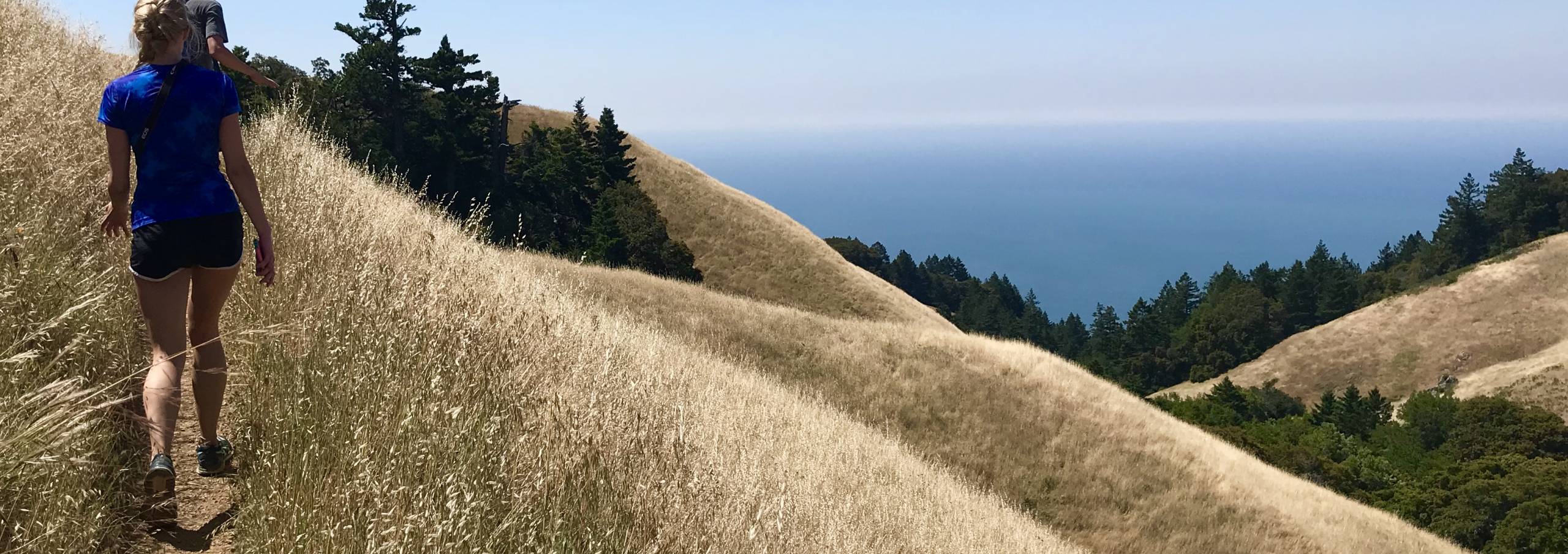 Highway One Properties Stinson Beach Vacation Rentals